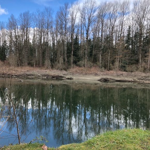 Meet your Posher, Bremmie Vintage - Picture 6 of 8